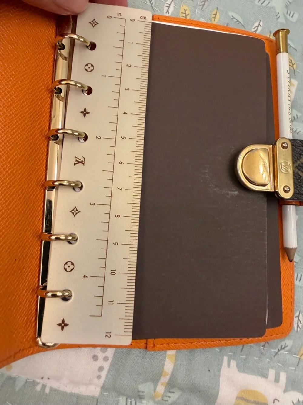 Louis Vuitton Agenda Pm (PRICE FIRM) - Picture 5 of 16